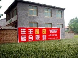 池州如何让墙体广告展现最大化效果