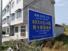 池州墙体广告质量分析