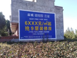 池州品牌公司青睐的墙体广告