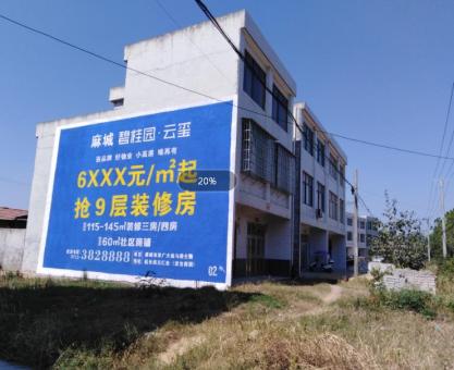如何策划池州墙体广告的投放？
