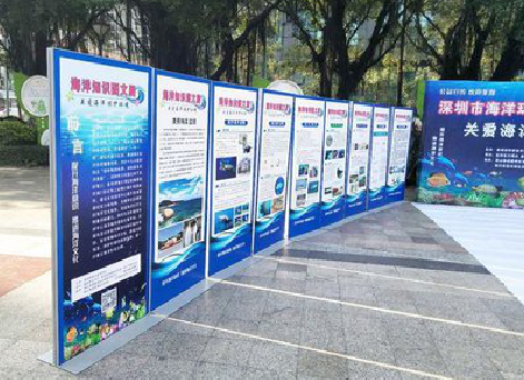 池州KT板的种类和知识。